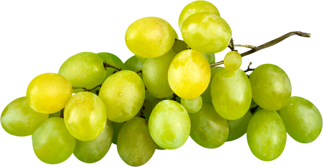 White Grape Cluster